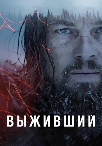 Выживший — постер